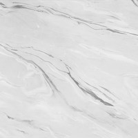 Столешница №43 Аргус светлый 3000x700x38 R9 Глянцевая Скиф