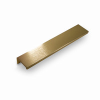 Ручка торцевая FP525G 128 мм, брашированное золото 63484