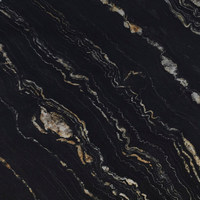 СФ Панель Сахара черная 4200 №260