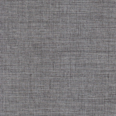 Тесла сильвер