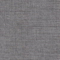 Тесла сильвер