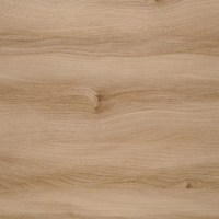 Столешница №146 Вяз 3000x600x38 R3 Матовая Скиф