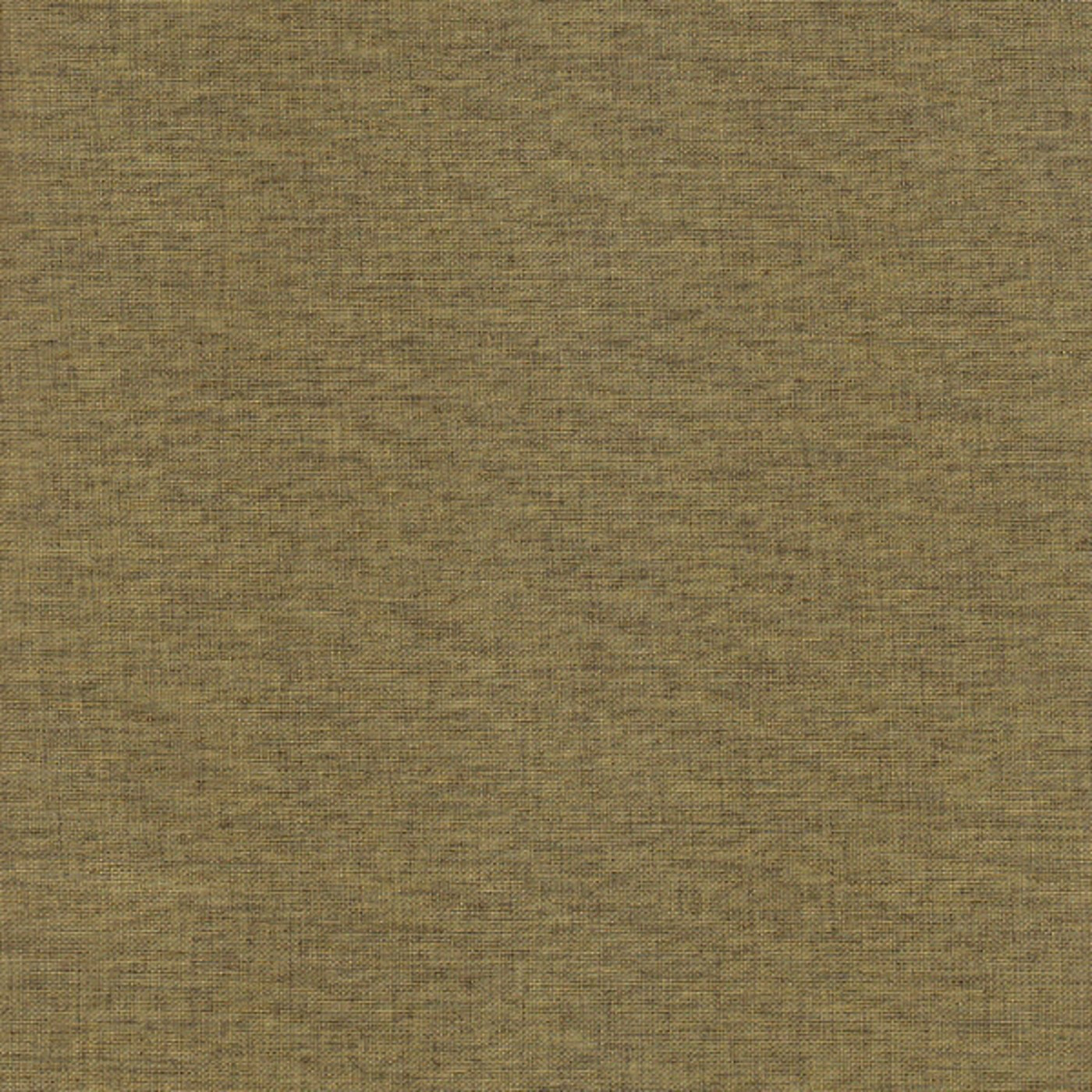 Тесла олива