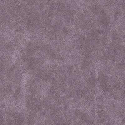 Блис плюм