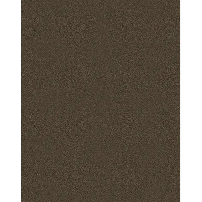 Век Бронзовый 8348PE ЛДСП 2800x2070х16мм Ультрадекор (Kronospan)