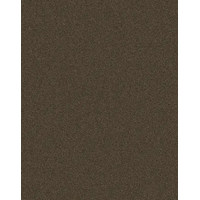 Век Бронзовый 8348PE ЛДСП 2800x2070х16мм Ультрадекор (Kronospan)