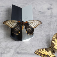 Ручка мебельная скоба алюм. ELBRUS 128/138 алюминий AKS 92244