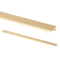 Ручка накладная алюм. INSIDE 1056/1200 мм брашированное золото AKS 110871